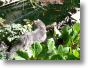 B-Garten-6h